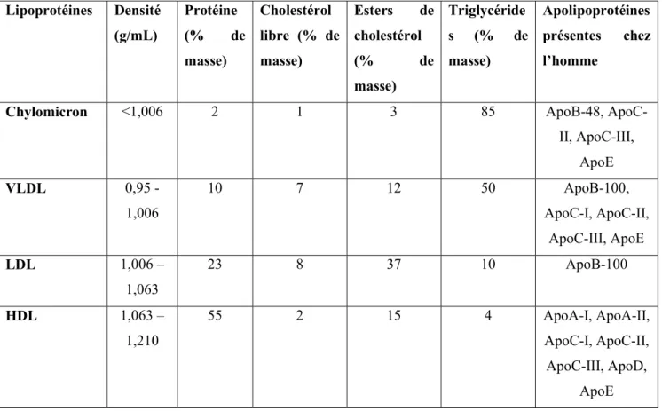 Tableau 1 : Les principales lipoprotéines plasmatiques, leur densité et leur composition 