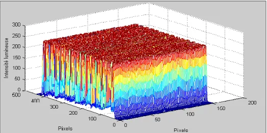 Figure 25. Mapping de l’intensité lumineuse de la décharge de surface.  