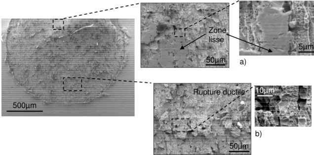 Figure III-5 : Visualisation MEB *  au fond du cratère du faciès de rupture a) lisse et b) ductile 