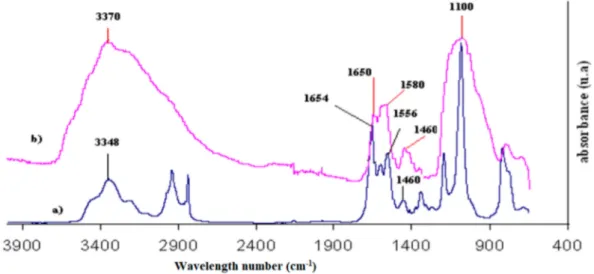 Figure 8. FTIR spectrum of (a) pure UPS and (b) TEOS/UPS coating on natural zinc.