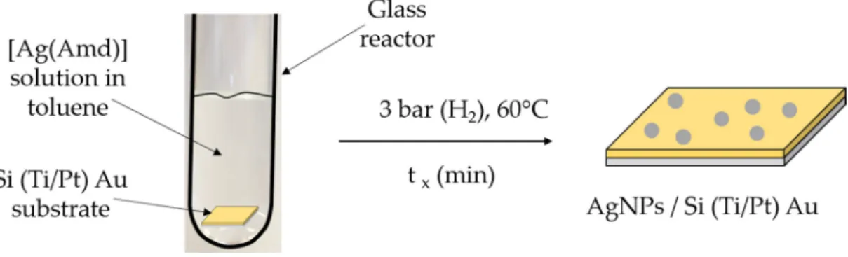 Figure 1.  Scheme  of  the  in situ deposition of AgNPs by the direct decomposition of [Ag(Amd)] in 