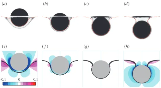 Figure 1 displays four snapshots of the meniscus evolution, from the time at which the sphere is half-immersed in each fluid to that at which it stands entirely below the initial position of the interface