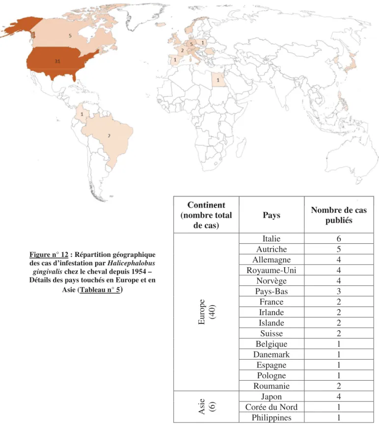 Figure n° 12 : Répartition géographique  des cas d’infestation par Halicephalobus  gingivalis  chez le cheval depuis 1954 –  Détails des pays touchés en Europe et en 