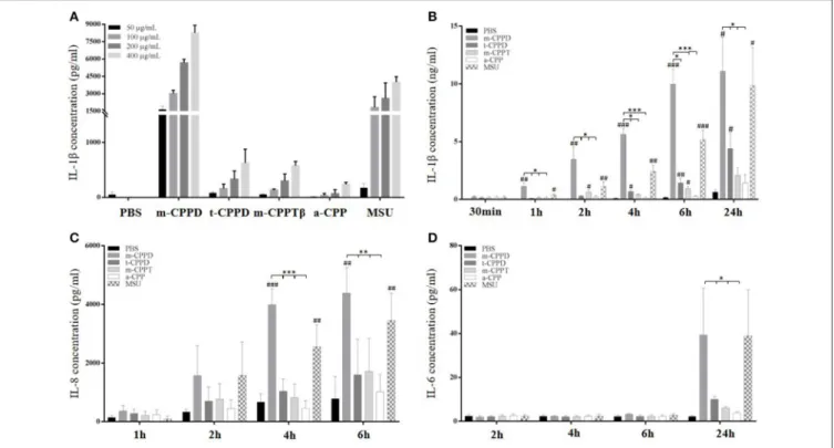 FIGURE 2 | Kinetics of IL-1β, IL-8, and IL-6 production in response to CPP phases. THP-1 cells were primed the day before experiments