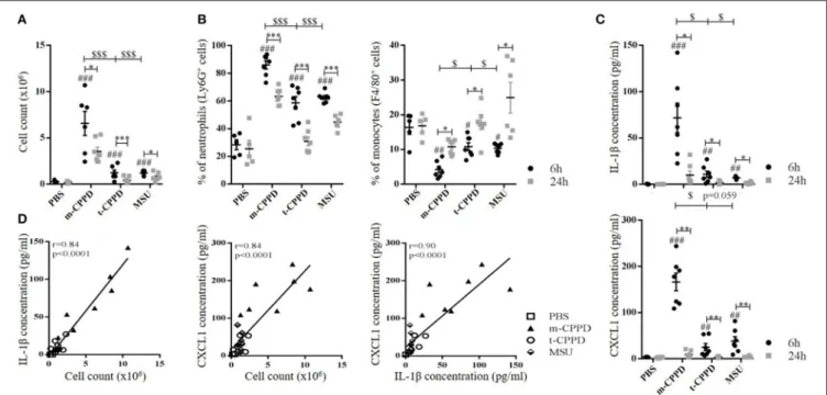 FIGURE 4 | CPP crystals differentially trigger inflammatory response in vivo. Air pouches were created by two injections of 3 ml of sterile air at day 0 and day 3