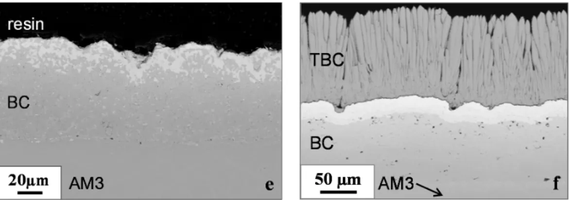 Figure 1.  (a,b) As-processed surface of the Trib-Pt/2 coating on AM3 after heat treatment under 