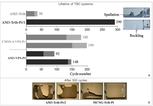 Figure 2. (a) Lifetime at 25% of spallation or buckling for AM3-Trib, AM3-Trib-Pt/1, AM3-VPS-Pt and  CMSX-4-VPS-Pt TBC systems, and pictures of AM3-Trib and AM3-Trib-Pt/1 TBC systems after  failure