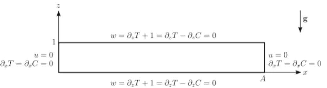 Fig. 1 Schematic view of the geometry with the dimensionless boundary conditions indicated