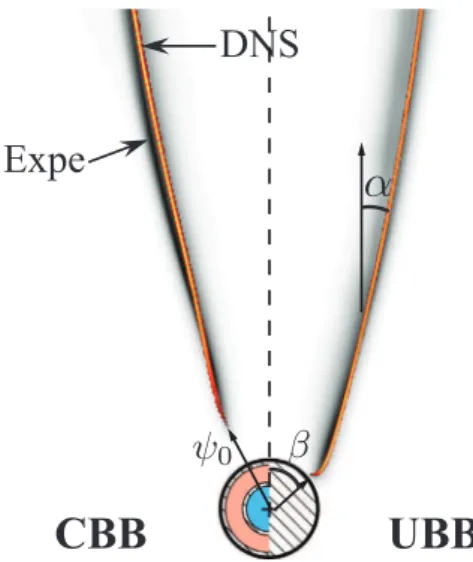 Fig.  7. Comparison between the experimental and simulated flames for the CBB  and UBB cases