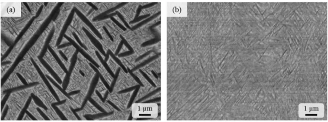 Fig. 10.  Final microstructure after ageing at a rate of 1 °C s-1 following (a) type "Intragranular" and (b) type "100% l\n" initial heat treatment