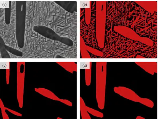 Fig. 1.  Image analysis process routine to quantify the fraction of the  a.  coarse precipitates: (a) initial SEM-BSE image, (b) threshold, (c) erosion and (d) dilatation of the binary image  with the same dise structuring element