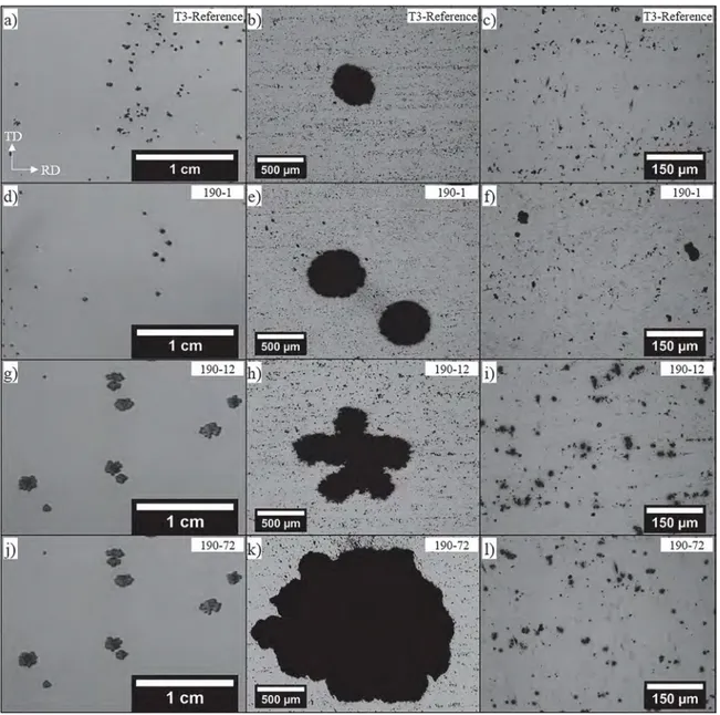 Fig. 6. OM observations of the sample surface at the end of the polarisation tests performed in 10 −1 M Na