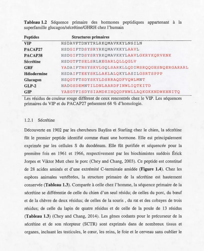 Tableau 1.2  Séquence  primaire  des  hormones  peptidiques  appartenant  à  la  superfamille glucagon/sécrétine/GHRH chez l'humain 