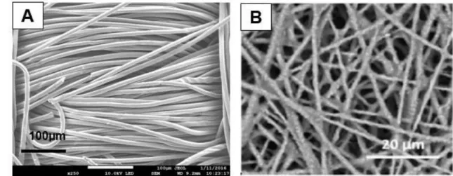 Figure  12 :  SEM  images  of  fibre  based  bioanodes  before  colonization.    (A)  Carbon  cloth  (B)  felt  made  of 