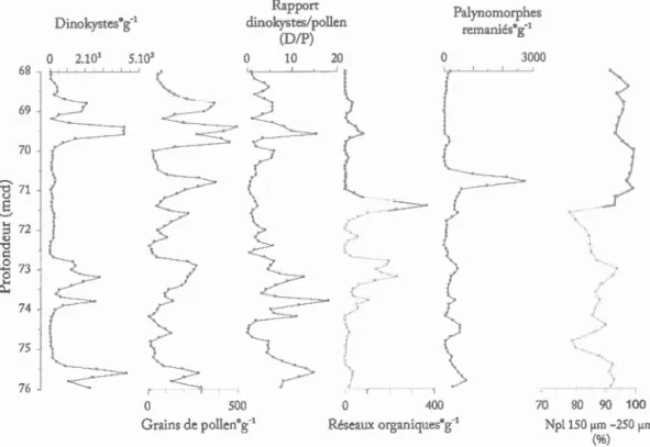 Figure  4.6  Concentrations  des microfossiles dans  l a section ana l ysée  du  site 