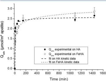 Figure 2. Kinetics of adsorption, at 37 °C, of folic acid (FA) on the two nanocrystalline apatite substrates HA and FeHA.