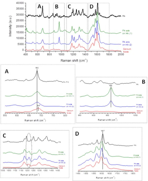 Figure 6. Raman spectra for FA adsorbed on HA as well as pure FA and precipitated calcium folate