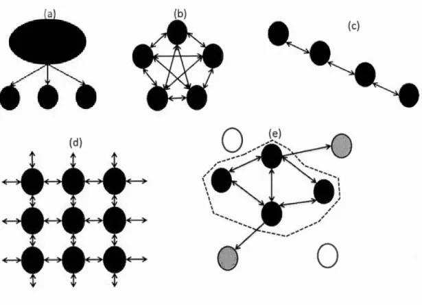 Figure 1.1  Modèles  de  structurations  des  populations  (modifié  d ' après  Frankham  et  al