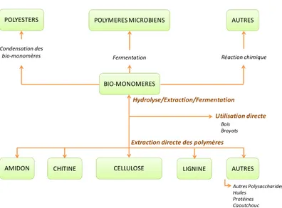 Figure 1 - 1. Utilisation de la biomasse pour préparer des produits utilisables comme matériaux polymères  (adaptée de [2])