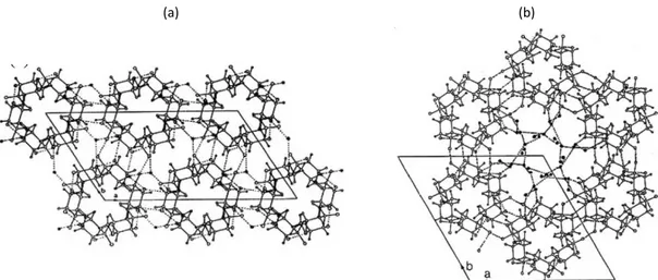 Figure 1 - 18. Projection dans le plan de la structure cristalline de l’amidon (a) monoclinique de type A et  (b) orthogonale de type B [71]