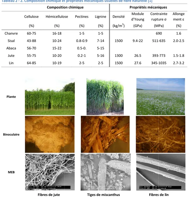 Tableau 2 - 2. Composition chimique et propriétés mécaniques usuelles de fibre naturelle [1]