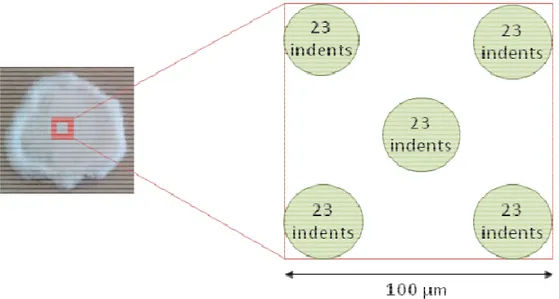 Figure 2 - 13. Zone de mesure en nanoindentation sur des échantillons de cellulose comprimés 