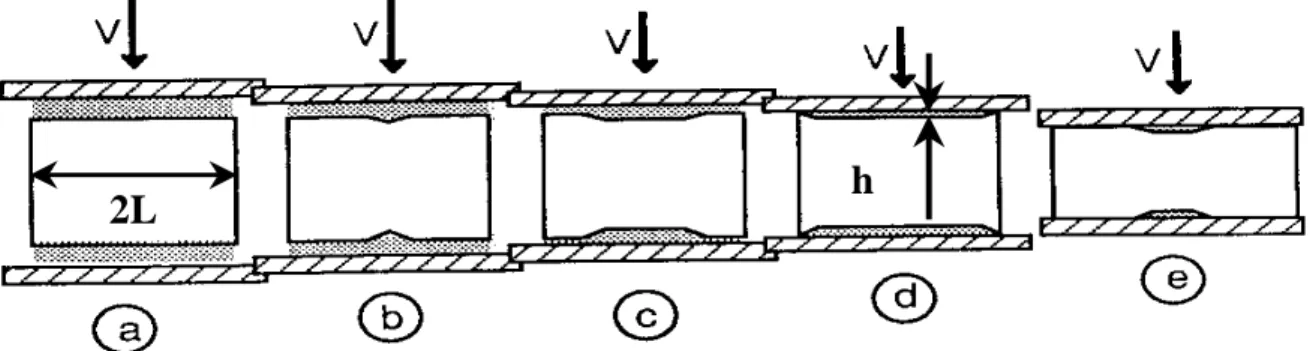 Figure   1-26 présente les étapes successives de formation de ce film  lubrifiant.  