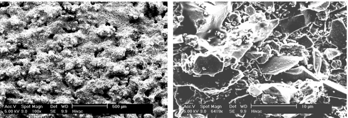 Figure  2-2 et  Figure   2-3 :  Observation  MEB  du dépôt d’émail cru à  différents grossissements ( 5 100 et  5 6400 respectivement) 