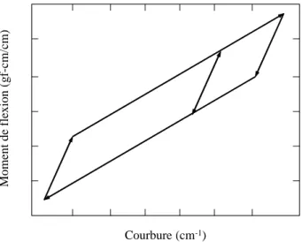 Fig. 2.19: Modèle de ‡exion de Grosberg [ GP66 ].