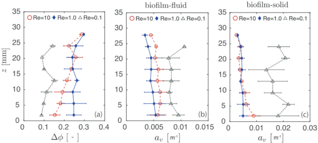 Fig. 4. Spatial distribution of porosity change (a), bioﬁlm-ﬂuid surface area per volume (b), and bioﬁlm-solid surface area per volume (c)