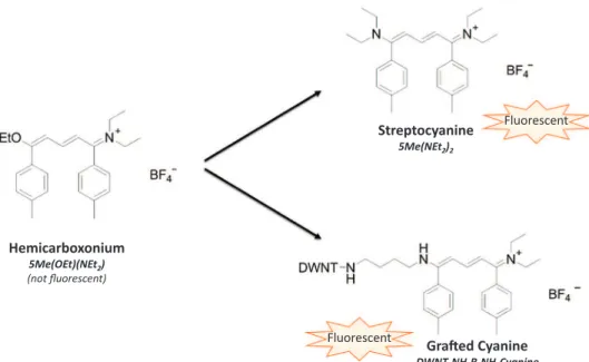 Fig. 1. Molecular structures of the Hemicarboxonium, the reference Cyanine and the covalently grafted Cyanine.