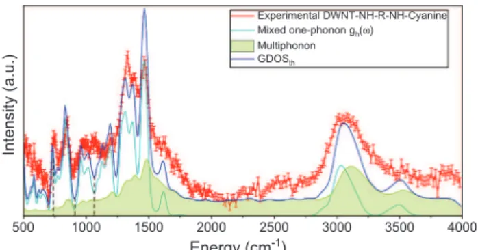 Fig. 7. Illustration of the results given by the R ncg and the R cg for the DWNT-NH- DWNT-NH-R-NH-Cyanine surface