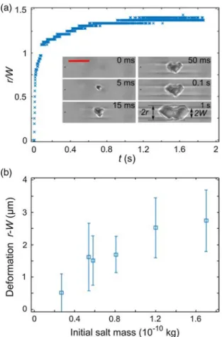 FIG. 2. Lateral crystal growth. (a) Kinetics of crystal growth; r is the crystal lateral half size, W is the initial channel half width; red scale bar represents 10 μm
