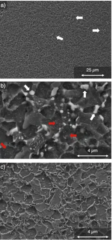 Fig. 4. Secondary Electrons SEM micrographs of a,b) N sample (0.12 wt%C, 0.27 wt%N)  isothermally held at 650 °C for 3 h