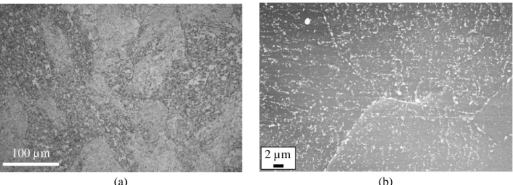 Figure 2.1: Microstructure of the as-received material, (a) optical microscopy (etchant: Nital 4%)  and (b) SEM observation of carbides on a carbon extraction replica