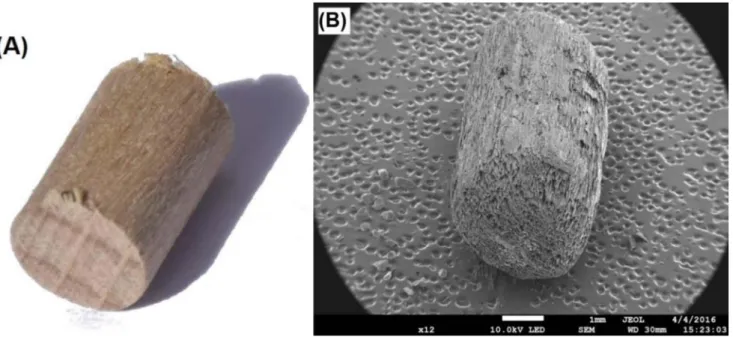 Fig. 1 (A). The proximate analysis of the biomass was carried out fol lowing the standard test method for chemical analysis of wood charcoal D 1762 84