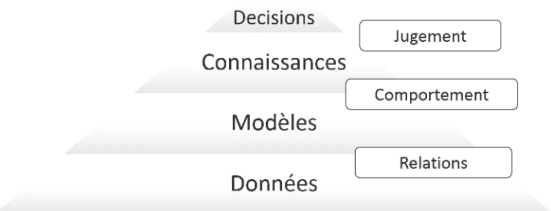 Figure II.6 – Pyramide de l’information pour la prise de décision