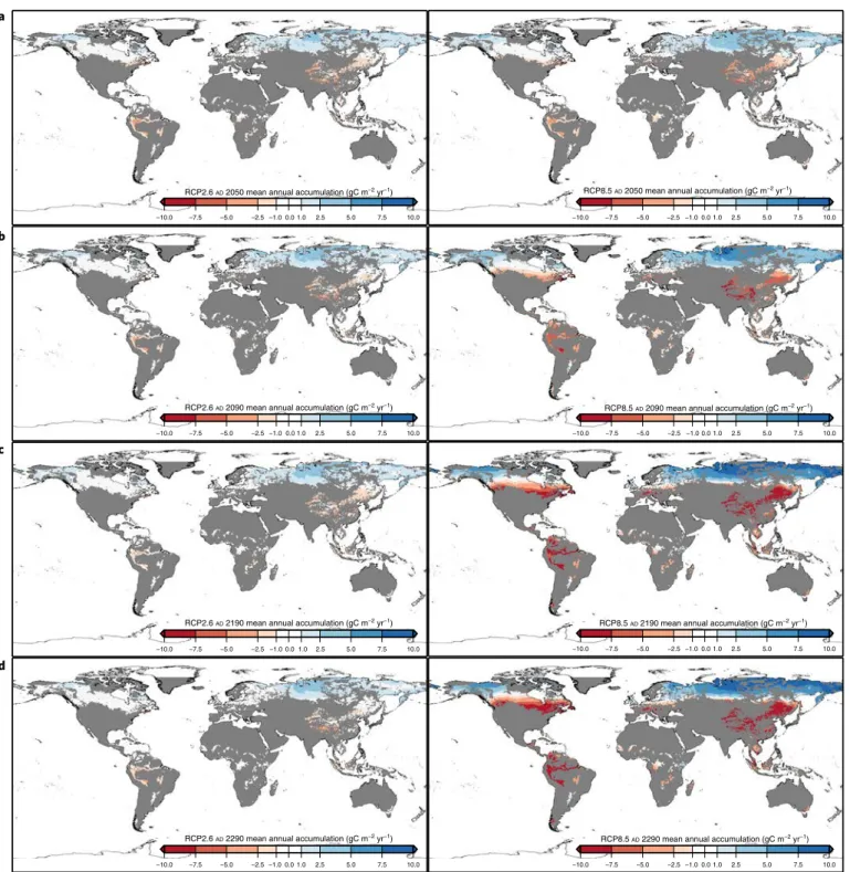 Fig. 4 | Projected anomalies (future − historic) of annual carbon accumulation rates for four time periods