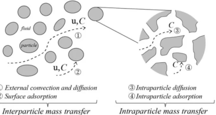 Figure 1. Schematic diagram of mass transfer in porous media.