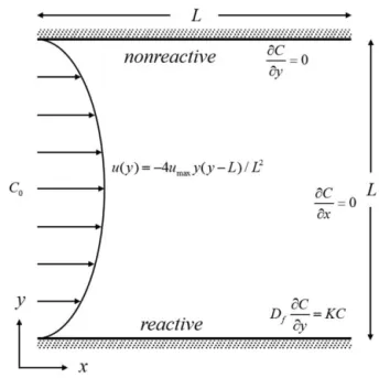 Figure 5. Reconstructed microstructure of porous