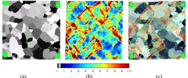 Figure 2.21 : (a) Microstructure déterminée par analyse EBSD-facteurs de Schmid (blanc =  0,5 ; noir = 0), (b) champ de déformation axiale déterminé par microextensométrie pour un 