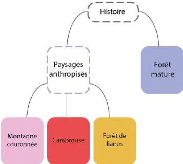 Figure 5. Représentation schématique des groupes d’histoire définis.   