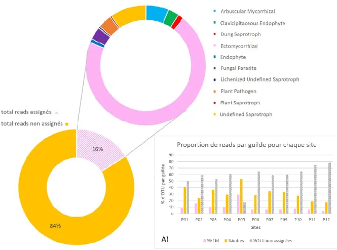 Figure 6. Pourcentage d’assignation des reads à une  guilde trophique, et proportion  de reads assignés aux  différentes guildes