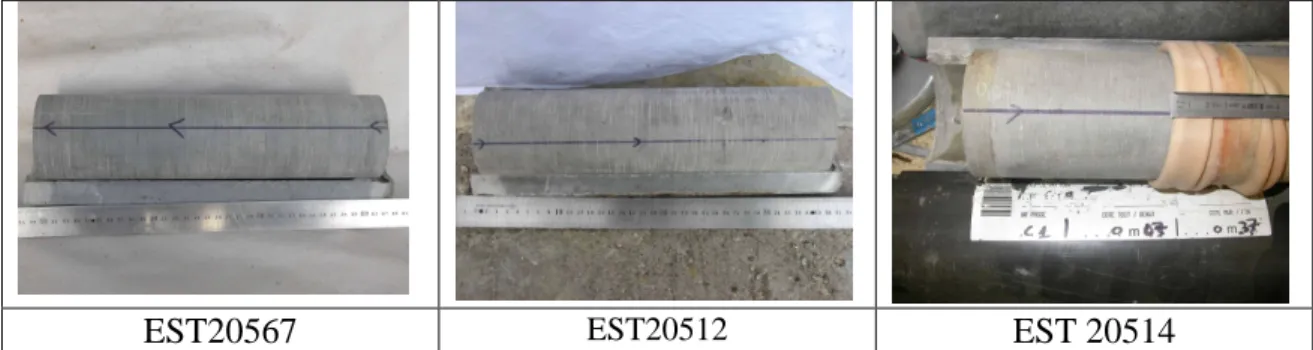 Figure 3-10 : Vue des carottes après démontage de leur cellule de confinement. 