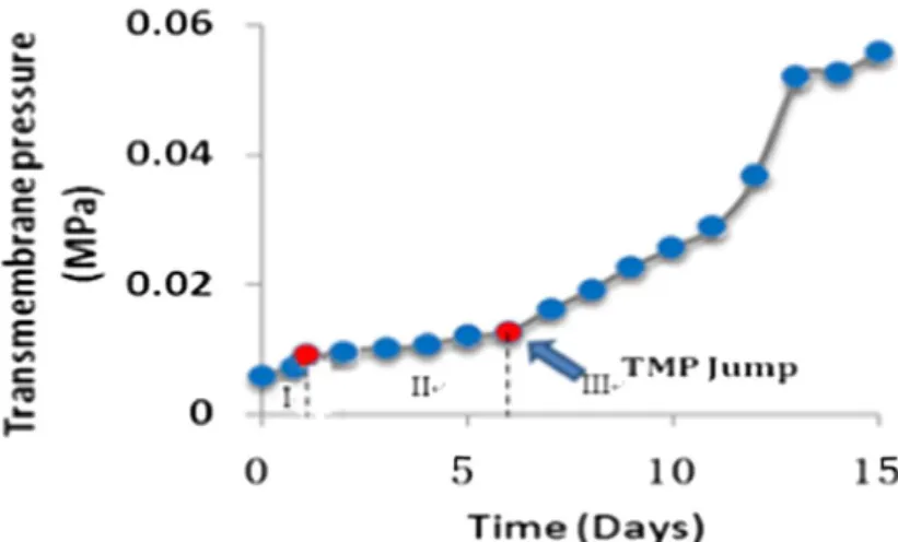 Figure I-6 : Evolution de la pression transmembranaire en fonction du temps (Gao et al