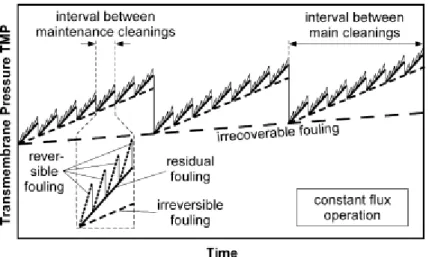 Figure  I-24 :  Représentation  schématique  des  différents  types  de  colmatage  dans  le  cas  de  BAMs  industriels fonctionnant sur le long terme (Kraume et al