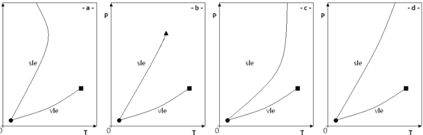Figure 2.2: Qualitative pressure-temperature equilibrium projections of a phase diagram for a pure sub-