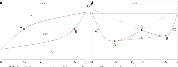 Figure 3.2: Qualitative representation of the vapor-liquid equilibrium in a binary mixture