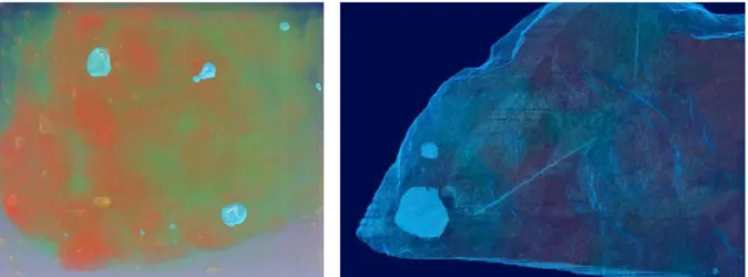 Figure 3-1: Microdiamonds in Kimberlite in the form of illuminated particles 