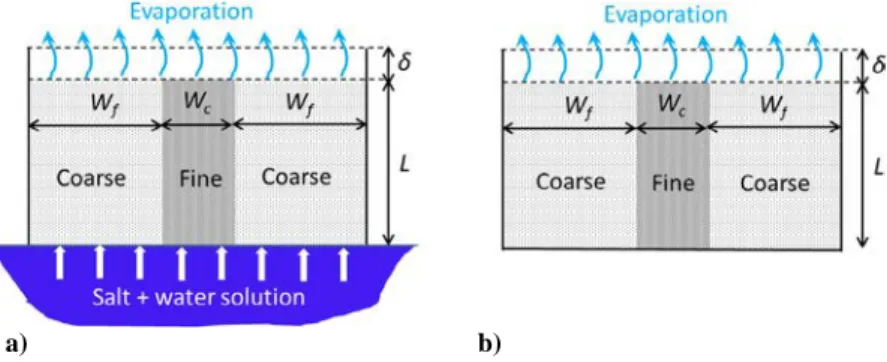 Fig. 1. Two situations of evaporation: (a) evaporation–wicking, (b) drying.